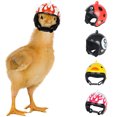 thumbnail image 1 of Muyoka Casco de pollo mascota divertido loro casco de seguridad casco protector para pollos pequeños Muyoka Hogar, 1 of 6
