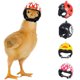 thumbnail image 1 of Casco De Pollo Mascota Divertido Loro Casco De Seguridad Casco Protector Para Pollos Pequeños Muyoka Hogar, 1 of 6