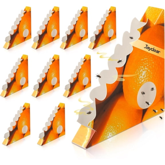 Jaydear Fly Trap Indoor, Window Fly Traps for Indoors Sticky