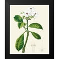 thumbnail image 2 of Unknown 15x18 Black Modern Framed Museum Art Print Titled - Les Fleurs Blanches IV, 2 of 5