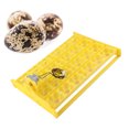 thumbnail image 3 of Incubator Egg Tray,  Plastic Eggs Incubator Tray Flexible Design  For Science Experiment For Chicken Farm For Farmer For Student 12V, 3 of 8
