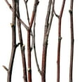 thumbnail image 2 of Vickerman Natural Birch Branches in Black Rectangle Pot, 2 of 3