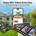 thumbnail image 5 of Smart Bird Feeder with Camera Solar Powered, Squirrel-Proof, 2K Full-Color Night Vision Camera, Ideal Gift for Bird Lovers, 5 of 7