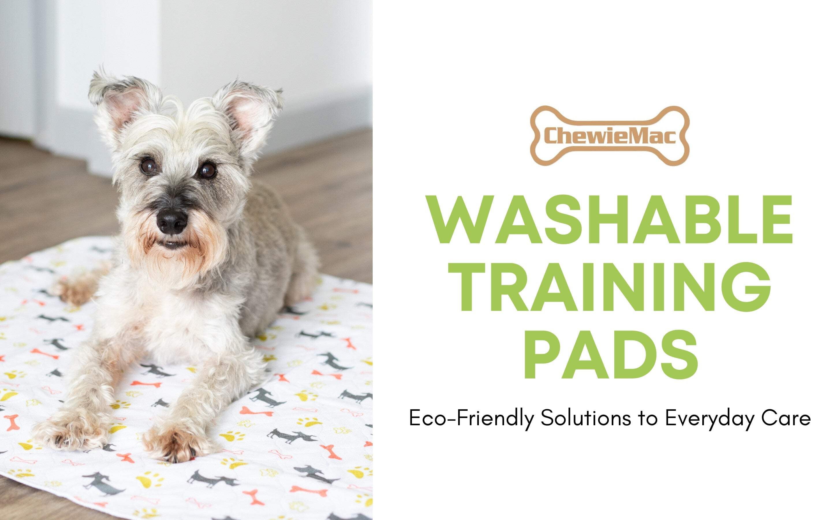Premium Washable Reusable Pet Pee Pads | Large House Training Mats 28 inches x 31 inches