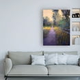 thumbnail image 3 of Trademark Fine Art 'Its the Glow' Canvas Art by Alejandra Go, 3 of 3