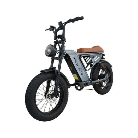 Electric Bike for Adult 20 inch Tire 750 W Motor Commuting Off Road E bike Grey