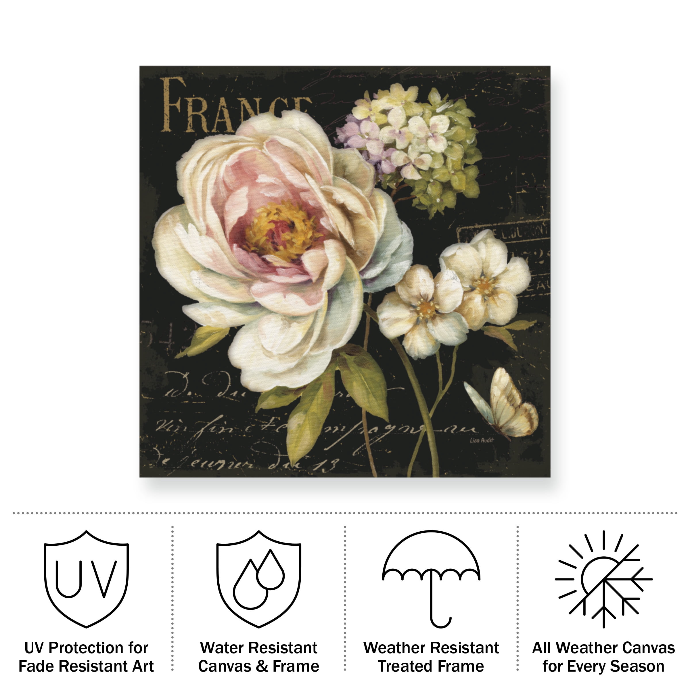 Lisa Audit 'Marche de Fleurs on Black' Outdoor Canvas