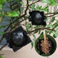 thumbnail image 4 of IKemiter Boîte de Culture de Racines de Plantes Haute Pression Capsules de Couche d'Air Sans Dommage Dispositif de Greffage de Racines de Plantes Outil de Jardinage, 4 of 7