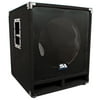 Seismic Audio - Empty 15 Inch Pro Audio Subwoofer Cabinet - PA / Band / DJ / KJ - Baby-Tremor_Empty