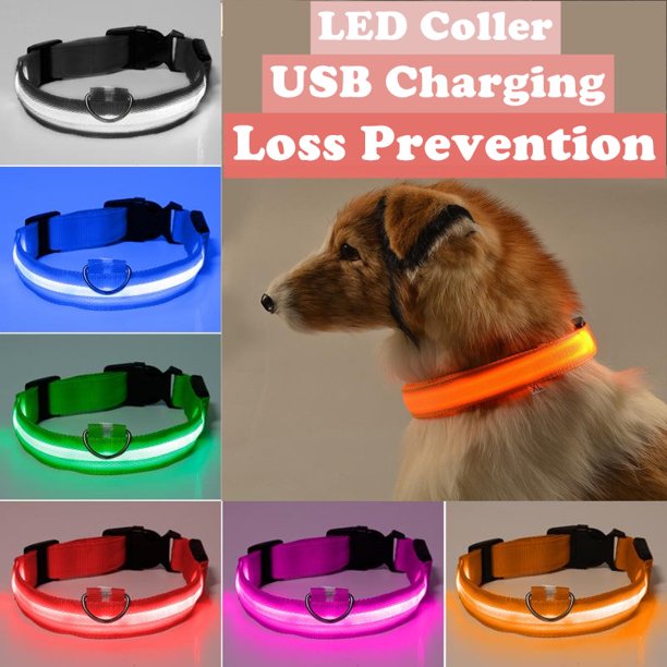 Light Up Collar, USB Rechargeable LED Dog Collar for Safety at Night
