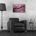 thumbnail image 4 of Epic Art 'Cherry Blossom Tree Panorama' by Nicklas Gustafsson Acrylic Glass Wall Art, 24"x16", 4 of 4