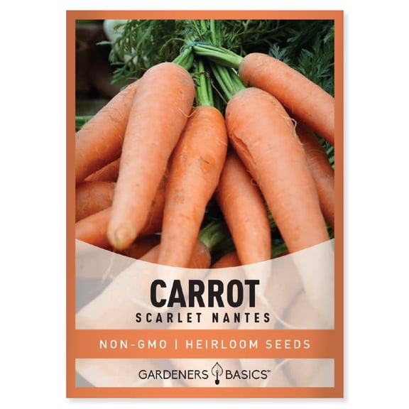 Scarlet Nantes Carrot Seeds