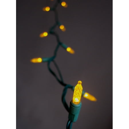 - Fantado 70 Outdoor Yellow LED M6 Mini String Lights, 23.6 FT Green Cord, Weatherproof, Expandable by PaperLanternStore