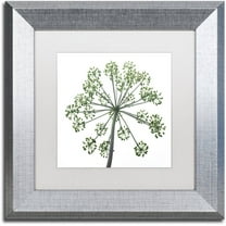 Trademark Fine Art "Nature's Amazing Wonder" Canvas Art by Kurt Shaffer, White Matte, Silver Frame