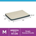 thumbnail image 3 of Vibrant Life Orthopedic Foam Dog Bed, Blue , Medium 29" x 20", 3 of 7