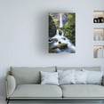 thumbnail image 2 of Trademark Fine Art David Drost Rapid Waterfall I Canvas Wall Art, 2 of 4