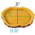 thumbnail image 2 of Paquete de 2 cuencos de comida para reptiles, cuencos de agua y comida para reptiles, tazón de comida novedoso para lagartos, dragones barbudos jóvenes, serpientes pequeñas y más hechos de plástico, 2 of 6