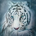 thumbnail image 2 of The Mountain 1059643 Blue Thoughtful White Tiger Adult Classic Tee - Extra Large, 2 of 2