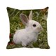 thumbnail image 2 of Fiudx Ofertas Flash Del Día Solo En Línea Funda De Almohada De Lino De Pascua Funda De Almohada Con Patrón De Conejo, 2 of 3
