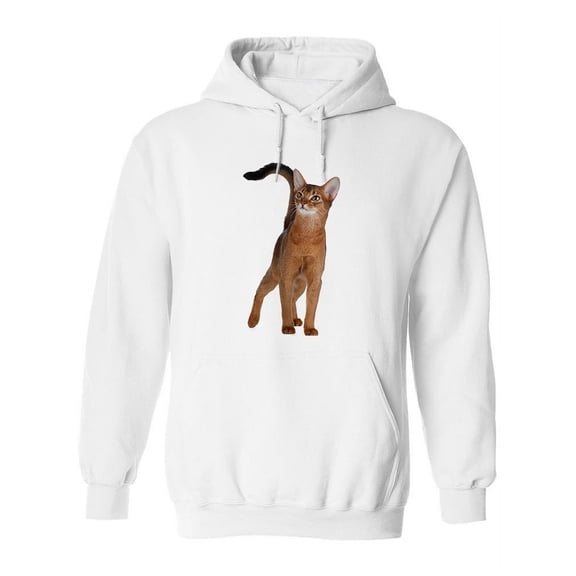 Pretty Abyssinian Cat Wondering Hoodie Women -Image by Shutterstock, Female Small