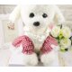 thumbnail image 3 of Vestido para perro, vestido de tutú para perro con lazo, bonito vestido dulce para mascotas pequeñas, color rosa Xs Shuxiu Wang 9024715006790, 3 of 5