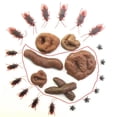 thumbnail image 2 of Cateissary Sorpresa y diversión de 24 piezas con caca falsa divertida para el día de los inocentes simulación de caca falsa vibrante Kits de decoración para fiestas, 2 of 6