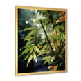 thumbnail image 2 of Designart "Sunset Photography With Bamboo" Bamboo Picture Framed Wall Decor, 2 of 5