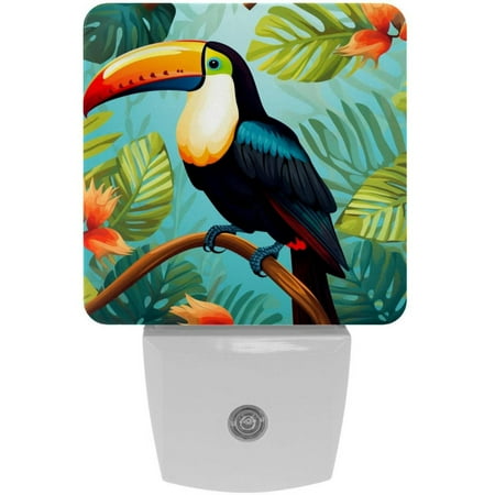 

Toucan LED Square Night Lights - Energy Efficient and Stylish Bedroom Lighting Solution