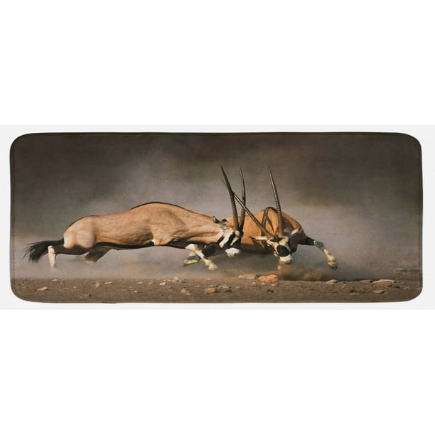 Africa Kitchen Mat, Fight Between 2 Gemsbok on Plains of Etosha Namibia Savage Safari Theme Design, Plush Decorative Kitchen Mat with Non Slip Backing, 47 Africa Kitchen Mat, Fight Between 2 Gemsbok on Plains of Etosha Namibia Savage Safari Theme Design, Plush Decorative Kitchen Mat with Non Slip Backing, 47