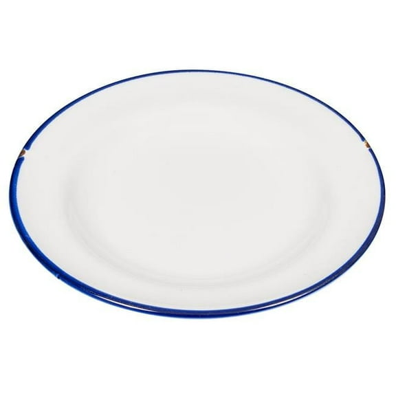 Luzerne  8.25 in. Tin White-Blue Porcelain Plate