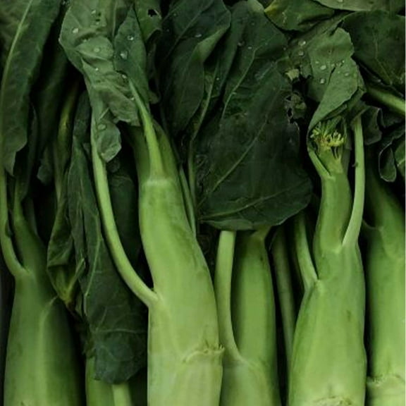 Broccoli Seeds - Chinese Broccoli - Big Stem - 1 Oz ~9000 Seeds - Non-GMO, Heirloom - Asian Garden Vegetable & Microgreens