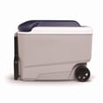 thumbnail image 1 of Enfriador enrollable Cooler Igloo MaxCold Grey de 40 cuartos, 1 of 3