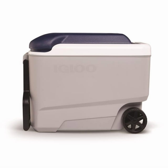 Enfriador enrollable Cooler Igloo MaxCold Grey de 40 cuartos