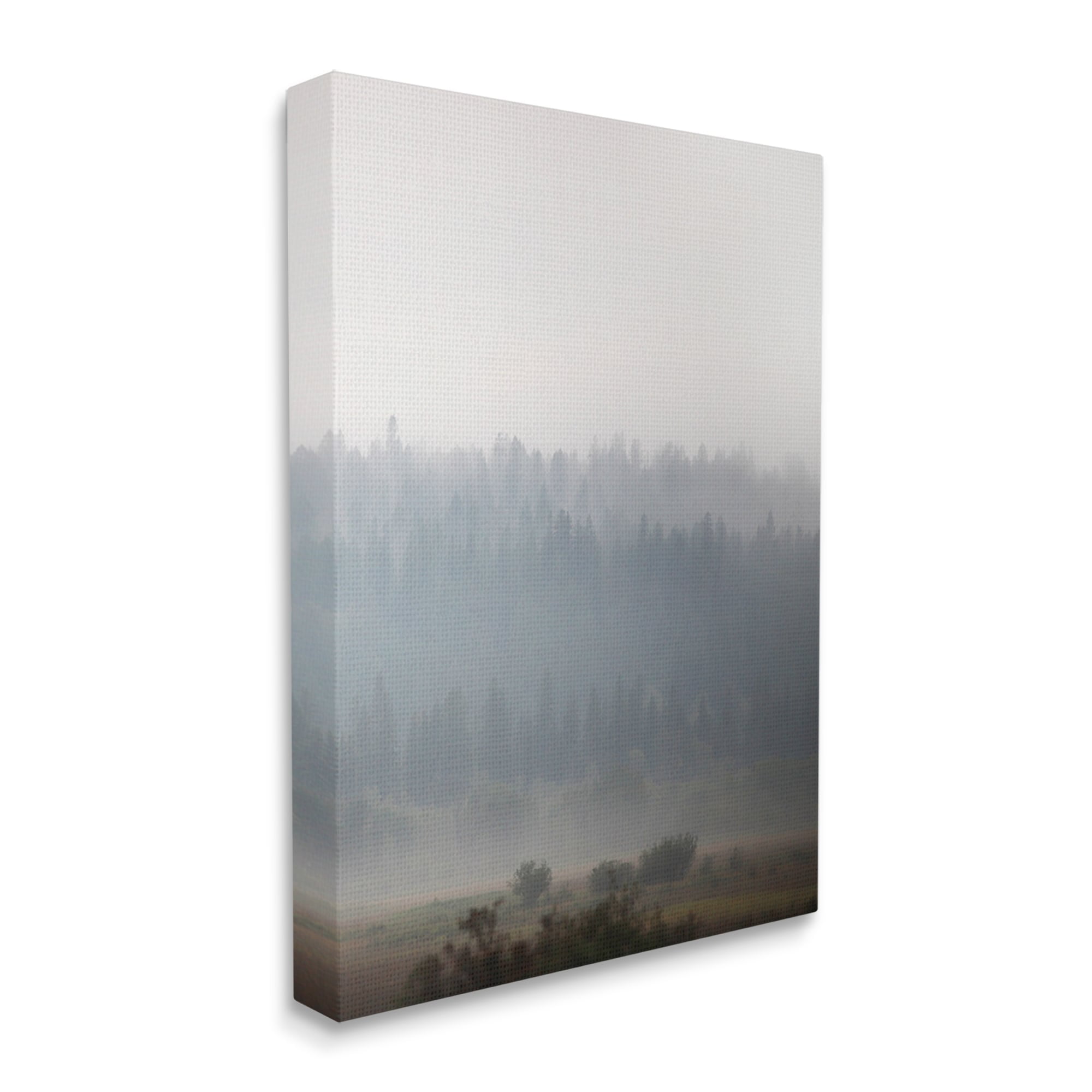 Stupell Industries Peaceful Fog Rural Landscape Woodlands Trees Clouds Canvas Wall Art, 24 x 30, Design by Carol Robinson