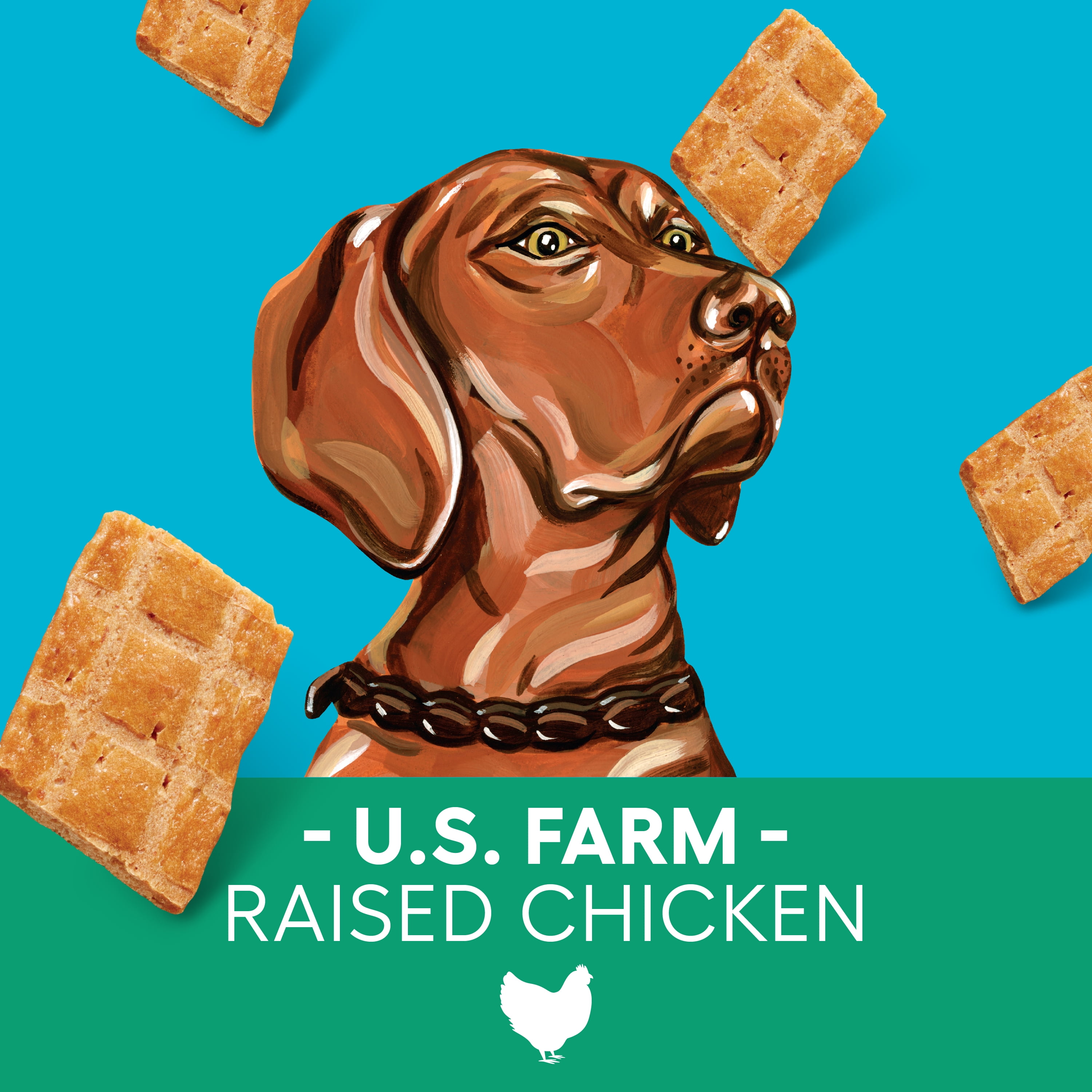 Newman's Own Jerky Treats for Dogs - Original Chicken Recipe | Made with US Farm-Raised Chicken | Grain Free | High in Protein | 5 oz Bag (Pack of 6)