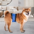 thumbnail image 3 of Adjustable Dog Diaper - Highly Absorbent, Waterproof, Washable, Easy-wearing, Anti-harassment, Polyester Pet Dog Belly Wrap Diapers - Physiological Pants - Pet Supplies, 3 of 8
