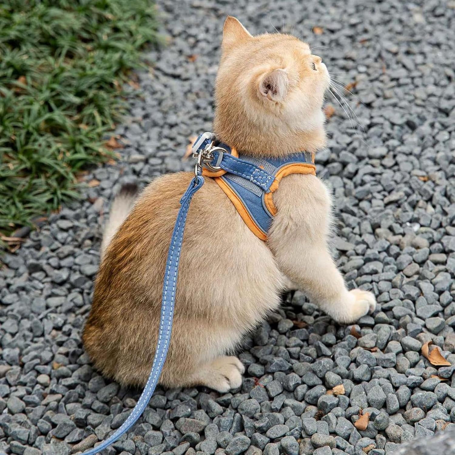 Cat Harness and Leash Set, Breathable Mesh Vest with Reflective for Outdoor