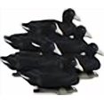 thumbnail image 3 of Higdon Outdoors Standard Coot Duck Decoys | Lightweight & Realistic UV Painted Floating Decoy for Waterfowl Hunting| Short-String Design for Easy Setup | Foam Filled | 6pk, 3 of 4