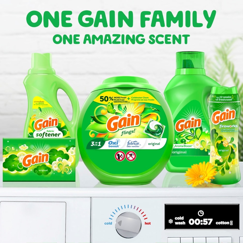 Gain Flings Laundry Detergent Pacs 3 in 1 (Pack 1) - 24 Count