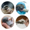 thumbnail image 2 of Exotic Nutrition Basic Wonder Nipple Feeding Kit, 2 of 8