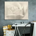 thumbnail image 5 of Epic Graffiti 'White Rose' by Lori Deiter, Canvas Wall Art, 34"x26", 5 of 8