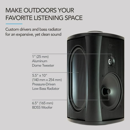 Definitive Technology - 6-1/2" Indoor/Outdoor Speaker (Each) - Black