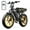 R9-Yellow+15Ah, variant on Electric Bike for Adults, 750W Peak 1500W Motor, 20"x4" Fat Tire E Bicycle, Mechanical Disc Brakes, E Mountain Bike, 48V/15AH UL2849, App Control