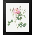 thumbnail image 2 of Redoute, Pierre Joseph 12x14 Black Modern Framed Museum Art Print Titled - Anemone Flowered Sweetbriar, Rusty Rose with Anemone Flowers, 2 of 5