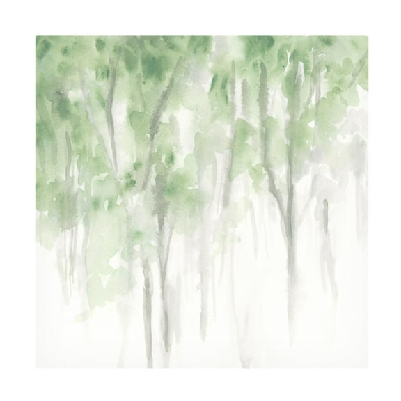 Trademark Fine Art June Erica Vess Misty Grove II Canvas Wall Art