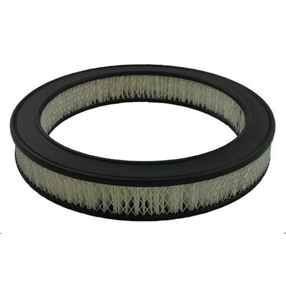 Pentius PAB3566 Pentius Filter Fits select: 1983-1988 TOYOTA COROLLA, 1985-1988 CHEVROLET NOVA