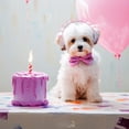thumbnail image 4 of Xingzhi Birthday party shoulder strap headband headband, 4 of 9