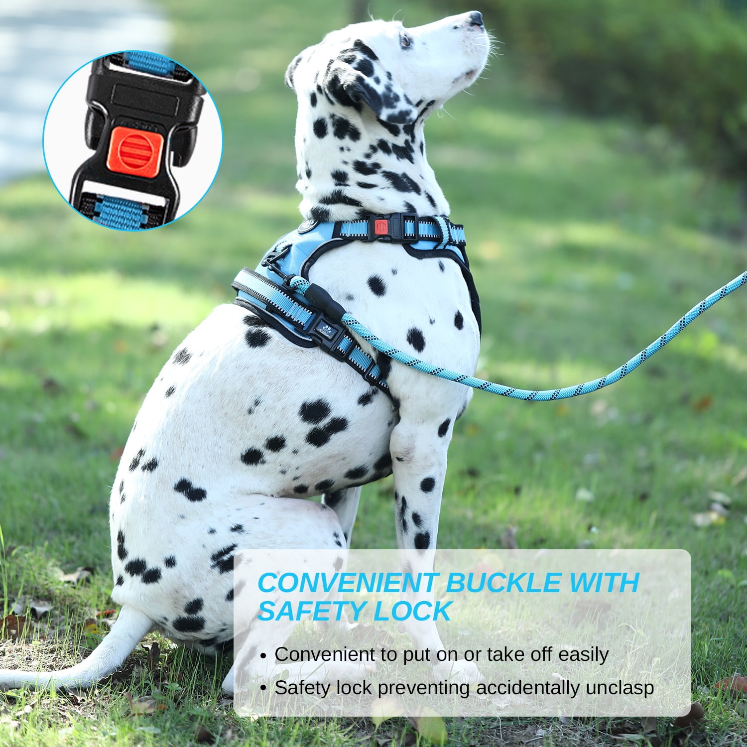 Hidpriva No Pull Dog Harness Leash Set , Reflective Dog Vest with Easy Control Handle, Adjustable Pet Harness for Large Dogs, Blue, L