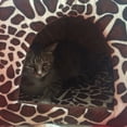 thumbnail image 3 of Casa para Perros y Gatos con Diseño de Ciervo, Plegable, Cálida y Suave, para Invierno, para Cachorros, para Perrera, Suministros para Mascotas B, 3 of 6