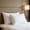White, variant on Qonioi Brushed Microfiber Pillowcase, Non-Slip Moisture Wicking Wrinkle Resistant Pillow Cases, Velvet Hair Skin Care Standard Pillow Cover Set for Bedroom Home Decor